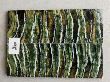 Stabilisierter Mammutbackenzahn - 8